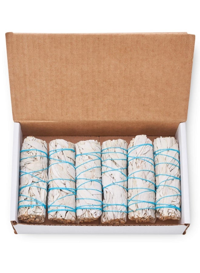 BLUE RIVER SAGE 6 Pack White Sage ~ Sage Smudge Sticks for Smudging & Cleansing Energy ~ Bulk/Wholesale ~ Sustainably Grown (6 Pack) - Image 1
